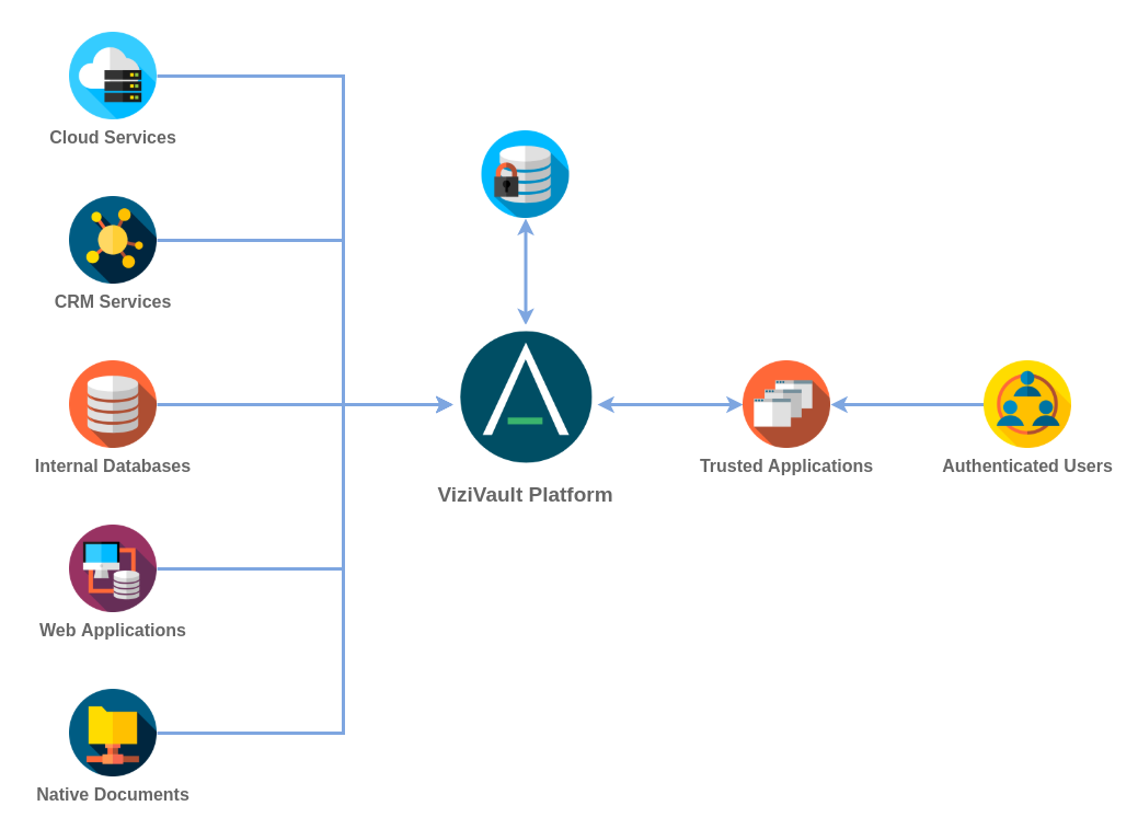 ViziVault Platform Overview